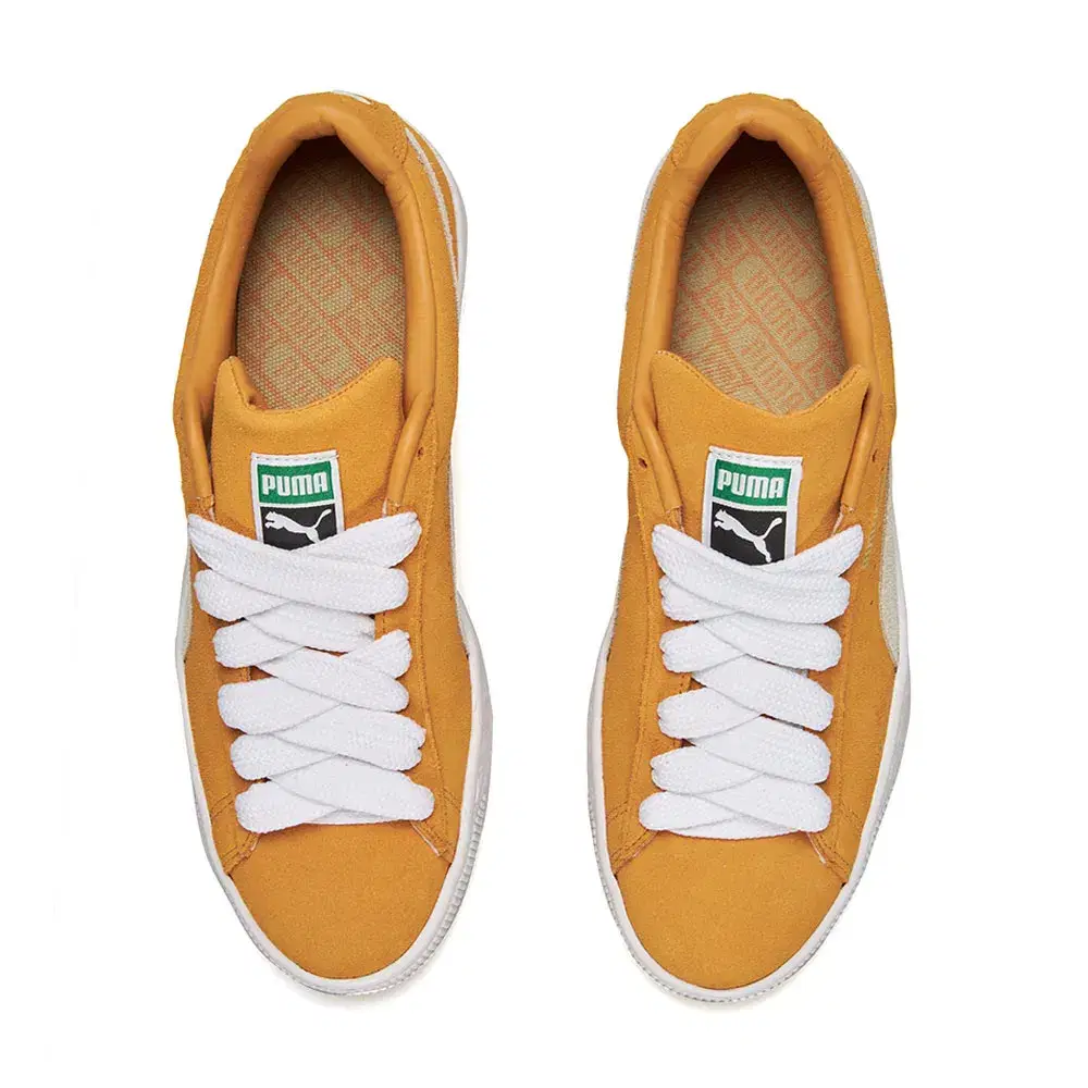 SUEDE CLASSIC XXI 6