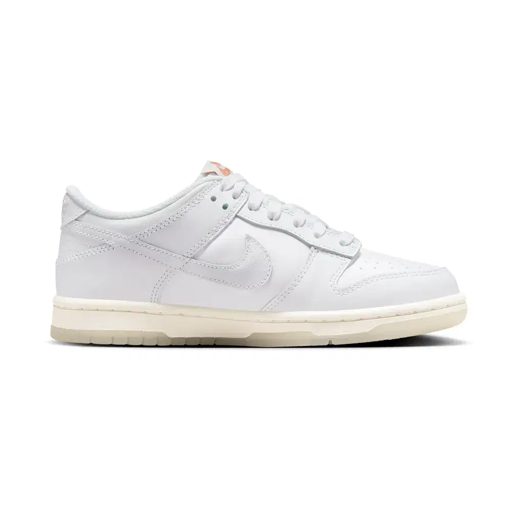 Dunk Low GS 'Rainbow Lace Swoosh' 3