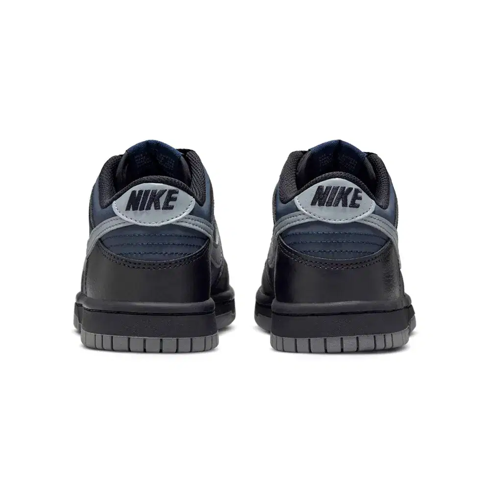 Dunk Low Gs 5