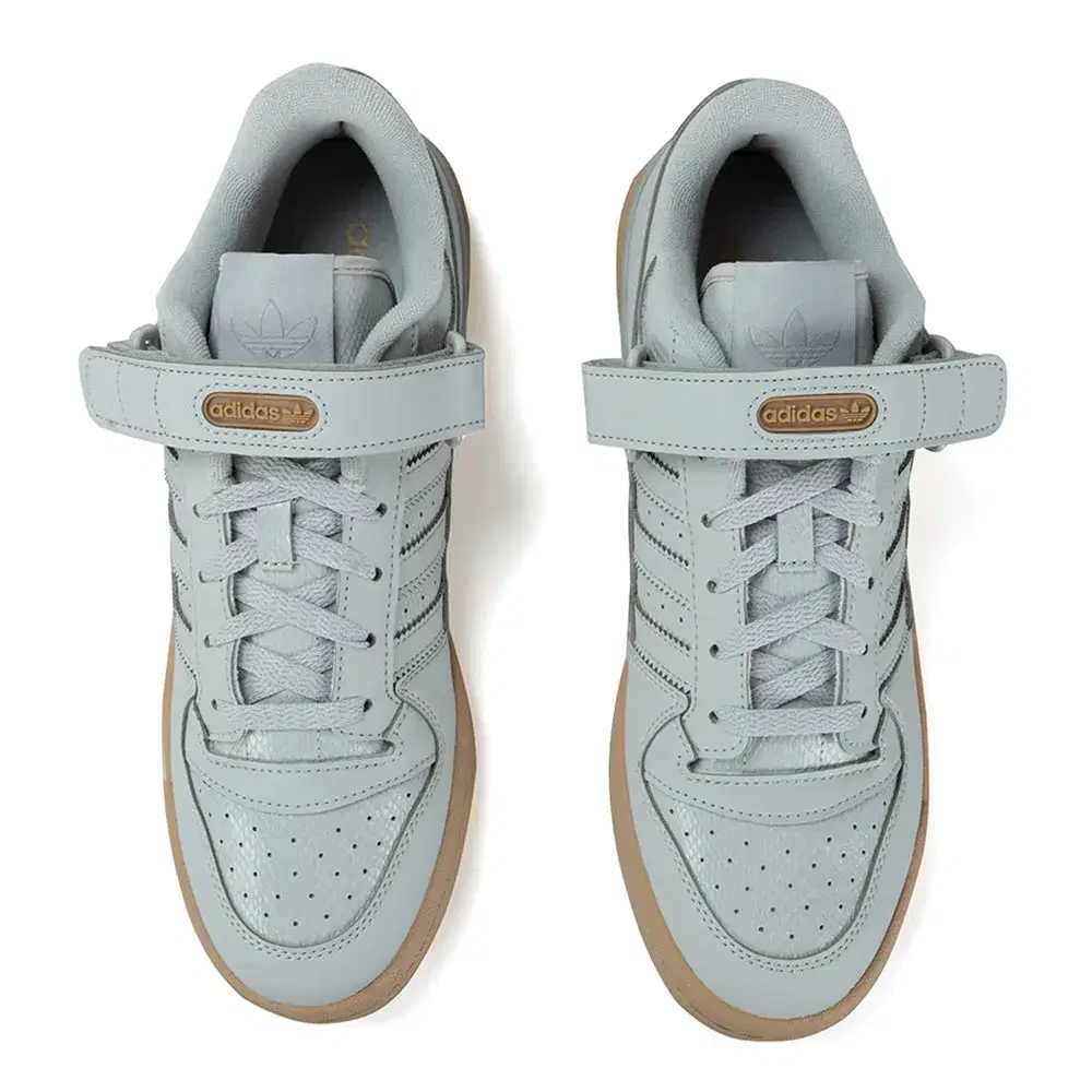 Forum 'Grey Gum' 4