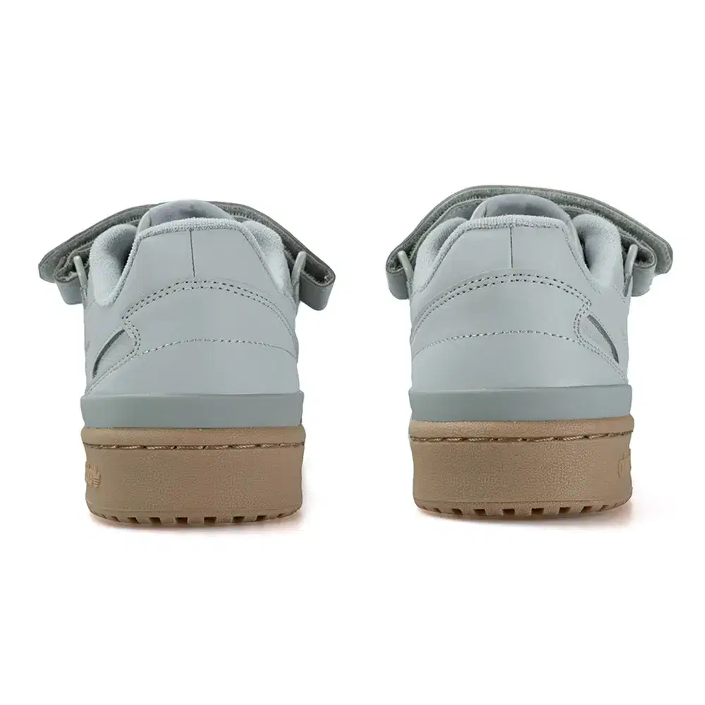 Forum 'Grey Gum' 6