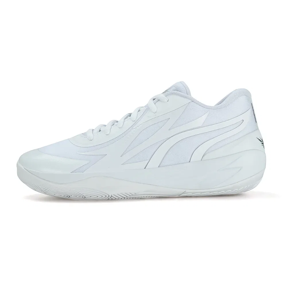 MB.02 Lo 'Triple White'